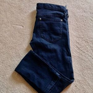 Free People Indigo Skinny Jeans (Sz 27)